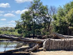 -威勒比开放式动物园