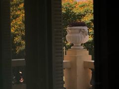 -胡志明市美术馆