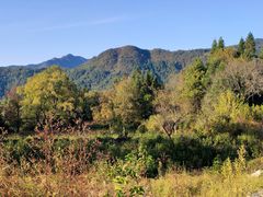 -塔川景区