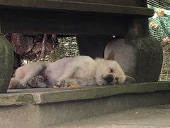 -达蓬山旅游度假区
