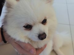 -怪兽屋·羊驼·猫咖·狗咖(俊华广场店)