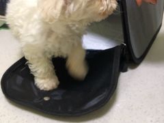 -瑞鹏宠物医院·爱宠堂(环西分院)