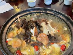 -蘑统田下·野生菌火锅