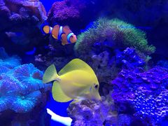 -多彩贵州城极地海洋世界