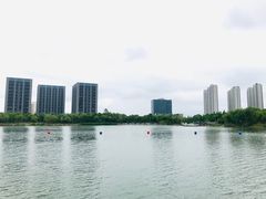 -南翔镇银翔湖公园