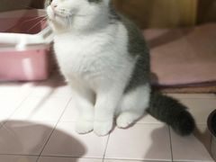 -FAELING PETS美天灵宠物(富力广场店)