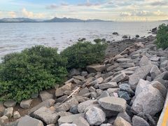 -深圳湾公园(南山区)