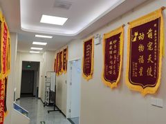 -美联众合爱康动物医院•复杂内科•肿瘤科•牙科•腔镜诊疗中心