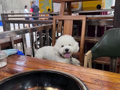 -陈记泸州酸菜豆花火锅(建设路店)