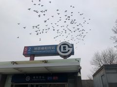 -雍和宫(地铁站)