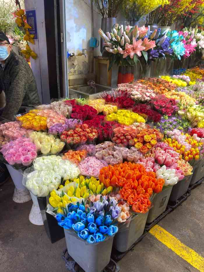 上海虹桥花卉市场(虹井路店)
