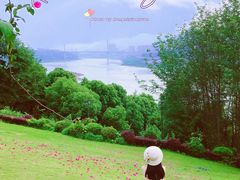 -金海湾滨江公园