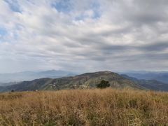 -阳台山自然风景区