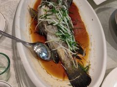 -大东海海鲜酒楼(渔人码头总店)