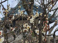 -无锡梅园公园