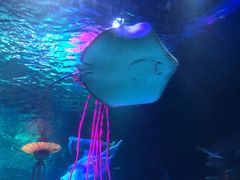 -沈阳海洋探索中心