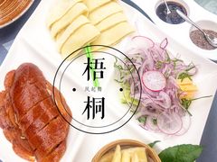 -梧桐