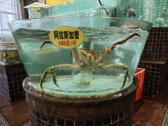 -麒麟濠景家宴(麒麟店)