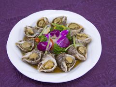 原壳泡海螺-秦皇岛秦皇国际大酒店