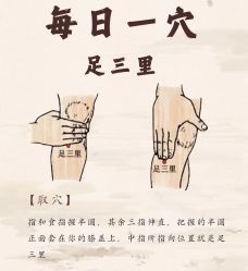 -雅曼妮spa美容养生