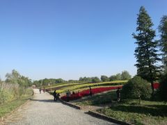 -梁鸿国家湿地公园