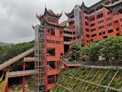 -东莞市大岭山森林公园
