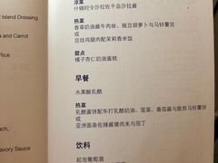 -德国汉莎航空公司