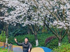 -杭州少年儿童公园