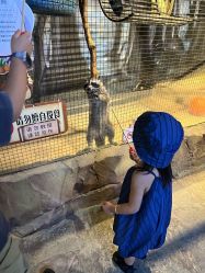 -酷嗒动物文化乐园(cutezoo西溪乐天城店)