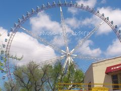 -哈尔滨文化公园