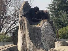 -南昌动物园