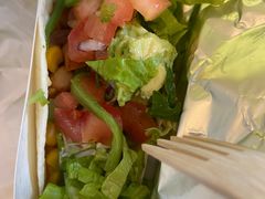 -油梨树AVOCADO TREE(顺义新国展店)