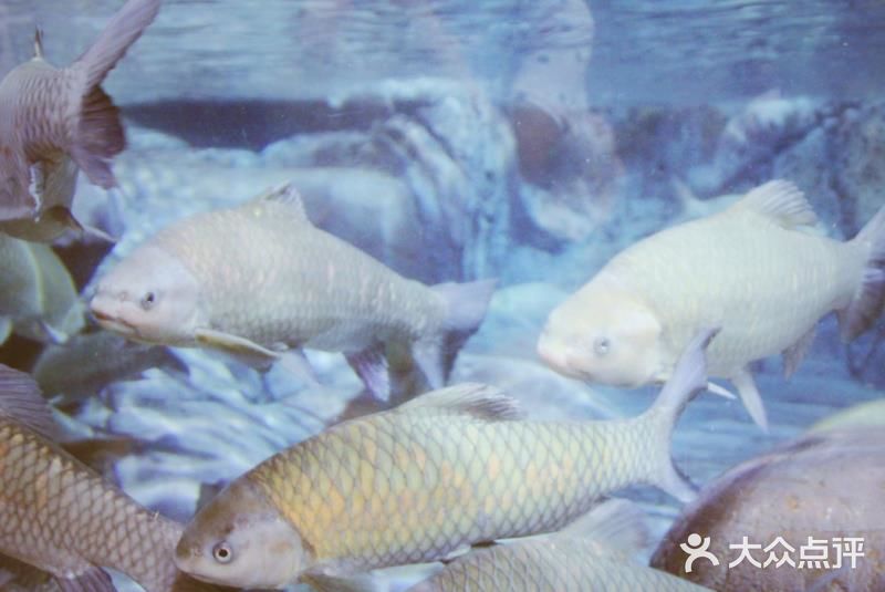 魔都上海2日游攻略推荐3