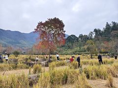 -塔川景区