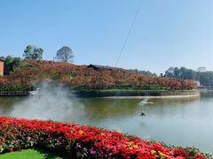 -南山植物园