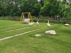 -前小桔亲子创意农场·草莓采摘·露营烧烤