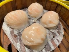 虾饺皇-蝴蝶里·粤菜·点心(滨江龙湖店)