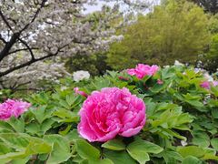 -江南大学(蠡湖校区)