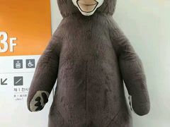 -济州岛泰迪熊博物馆