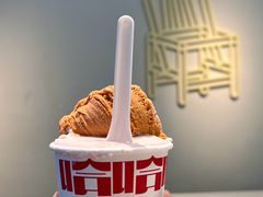 -红楼HONGLOU Gelato(淮海中路店)