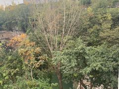 -万达广场(万州店)