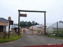 -上海长兴岛郊野公园