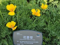 -国家植物园南园