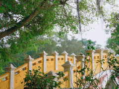 -中山公园