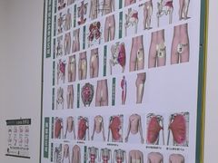 -通透堂中医·精准推拿(旗舰店)