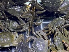 -聚盛源蒸汽海鲜火锅烤肉自助(巨川金海岸购物广场店)