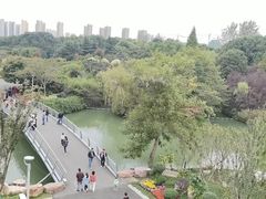 -青枫公园