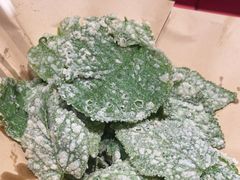 -周姑娘不等味·牛羊肉火锅·螃蟹罗氏虾·烤鱼烤串(高邮店)