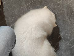 -留仙洞(地铁站)