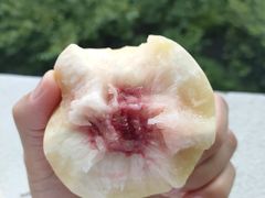 -欧尚(江阳中路店)